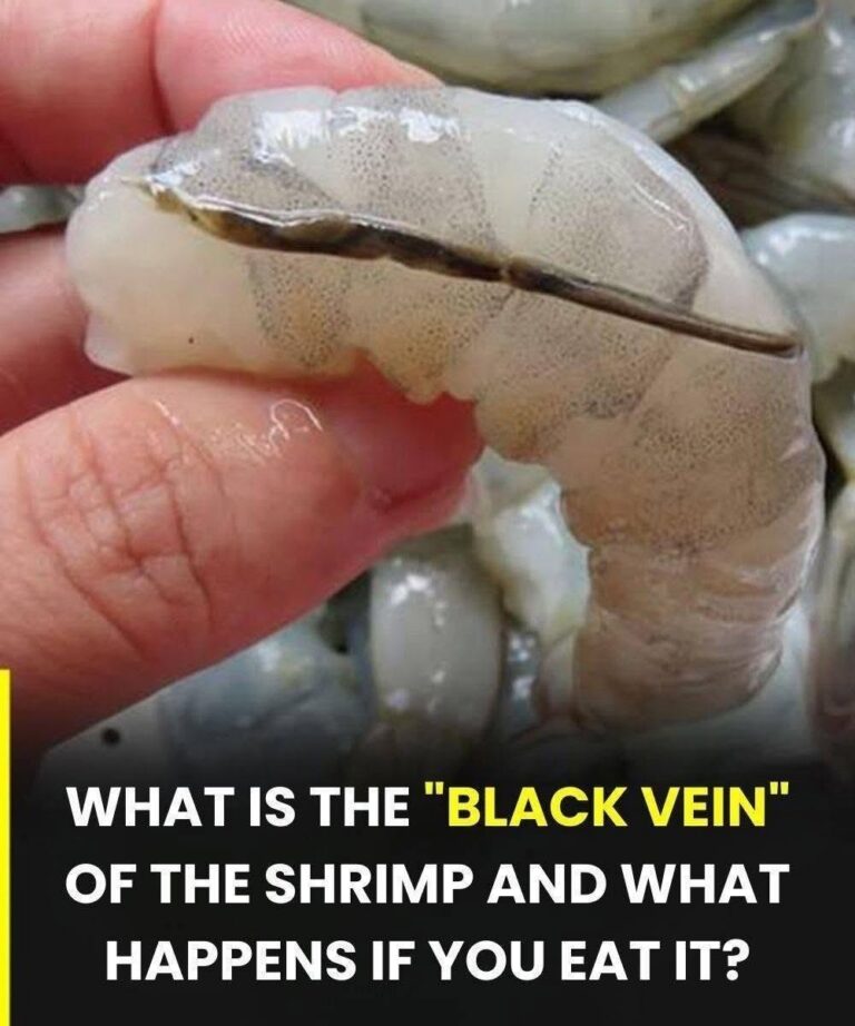 The Dark Line on Shrimp: What It Is and When to Remove It