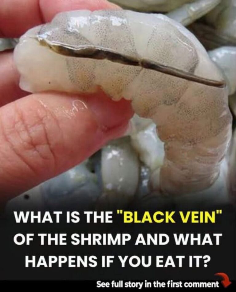 What Is the Black Vein in Shrimp, and Should You Remove It?