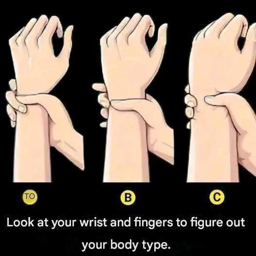 Ectomorph, Mesomorph, or Endomorph: Find Your Body Type