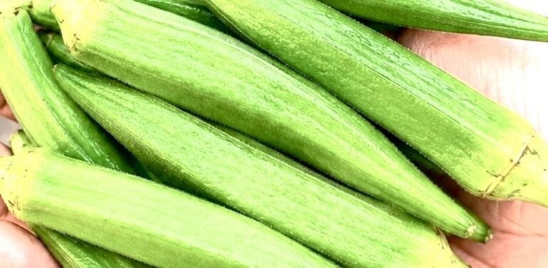 Eating Okra Every Day: Benefits, Risks, and How to Do It Right
